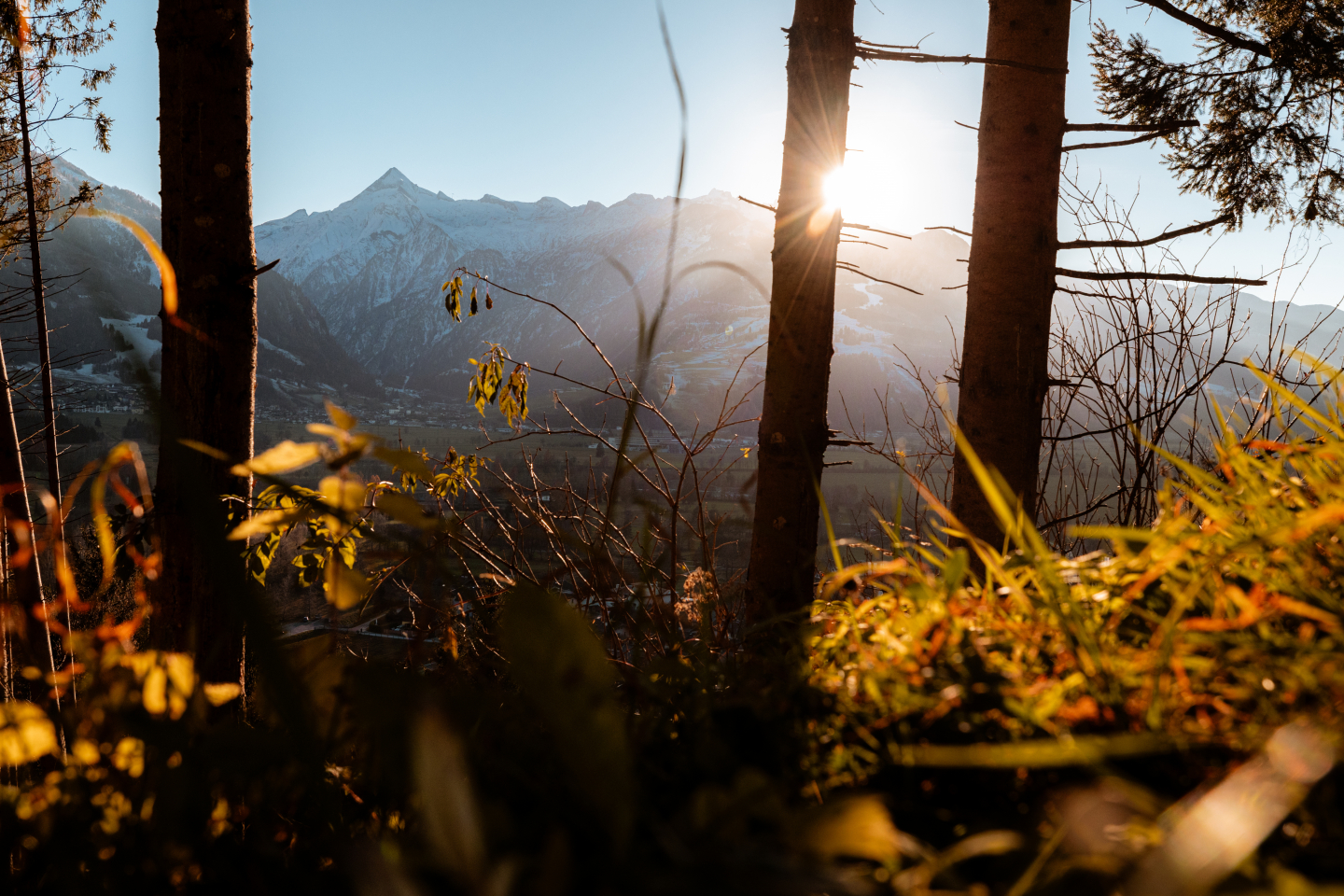 20241115 Bruckberg Herbst LC 27 c Zell am See Kaprun Tourismus